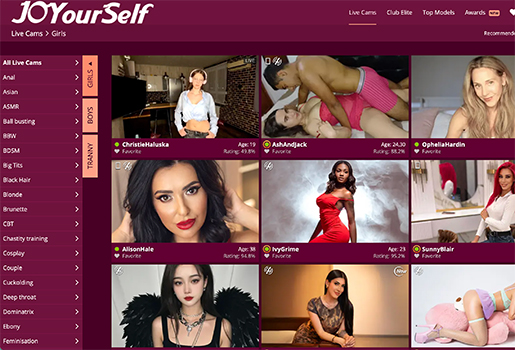 Joyourself webcams site