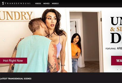 Transsensual porn site